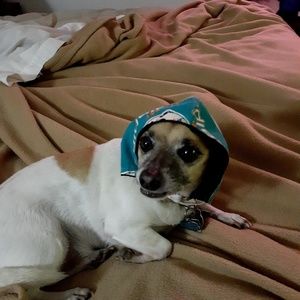 Meet your Posher, Todd